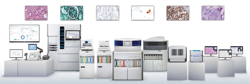 Roche Systems Workflow & IT